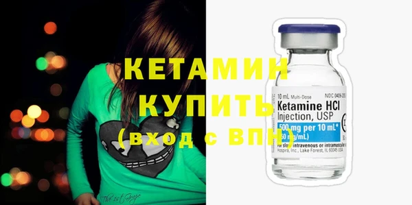 крисы Алексин