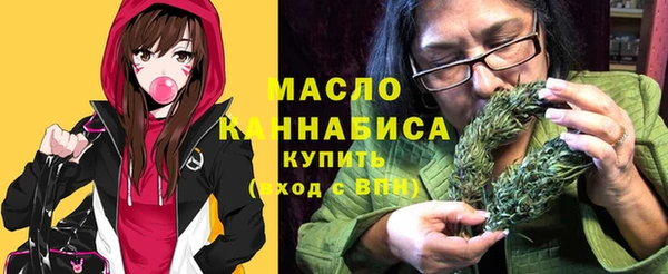 крисы Алексин