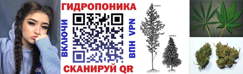 Шишки марихуана Ganja  цена наркотик  площадка формула  Томмот 